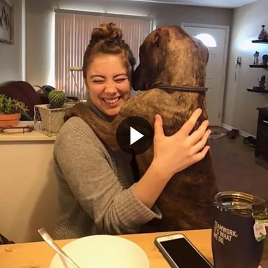 Boundless Love Exemplified: Heartwarming Acts of a Rescue Dog Showcase Unwavering Devotion to Mother