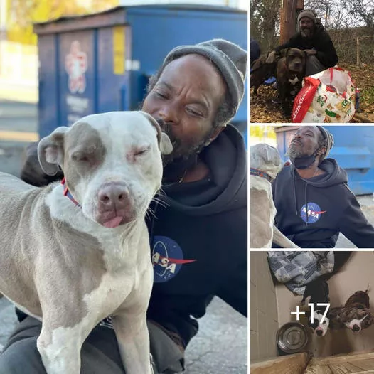 Guardian Angel of Atlanta: Homeless Man Risks Life to Rescue Every Animal from Burning Shelter