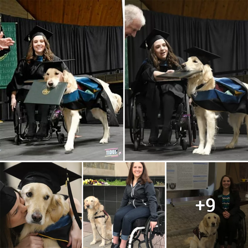Loyal Service Dog Earns Honorary Degree for Helping Owner Graduate as a Good Boy